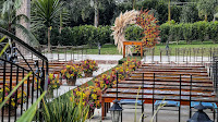 IMG_5572_jpg.jpg da galeria de fotos da Orquídea Formosa