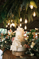 ef6ba9ee-f204-43c0-b7bf-0e45c1367092.jpg da galeria de fotos da Orquídea Formosa