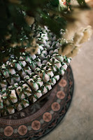 b9b198e4-c2fa-425f-b7ae-e236d9463644.jpg da galeria de fotos da Orquídea Formosa
