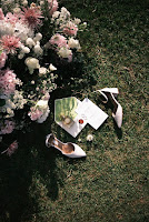 0524b797-7725-49c9-bcc1-9e28a737b73e.jpg da galeria de fotos da Orquídea Formosa