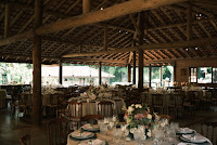 95fe45b3-4525-458d-97a7-3d960f9d6d69.jpg da galeria de fotos da Orquídea Formosa