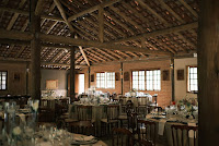 551821e6-6677-486d-a546-2305c052a25d.jpg da galeria de fotos da Orquídea Formosa