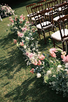 4672848c-28a8-4d06-a597-ab8fafa82f95.jpg da galeria de fotos da Orquídea Formosa