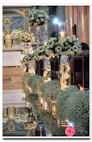 DSC_9253.jpg da galeria de fotos da Orquídea Formosa