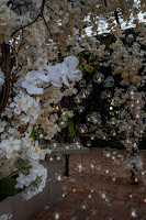 casamento-andressaepedrolucaslimafotografia-151.jpg da galeria de fotos da Orquídea Formosa