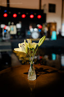 Casamento Mirella e Marcelo-259.jpg da galeria de fotos da Orquídea Formosa