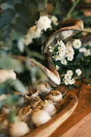 7282f3e2-034c-485d-baa6-a463087c273a.jpg da galeria de fotos da Orquídea Formosa