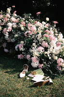 400b884d-e46e-47f3-9c7a-e7c568cdcafa.jpg da galeria de fotos da Orquídea Formosa