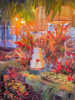 IMG_7690_jpg.jpg da galeria de fotos da Orquídea Formosa