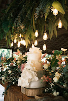 c28734a1-0b2e-4339-9f14-47722a232794.jpg da galeria de fotos da Orquídea Formosa