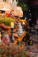 IMG_8549.JPG da galeria de fotos da Orquídea Formosa