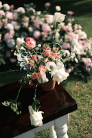 304a173b-ec1f-45a6-aa3a-3a24679bd613.jpg da galeria de fotos da Orquídea Formosa