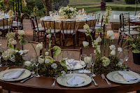 casamento-andressaepedrolucaslimafotografia-138.jpg da galeria de fotos da Orquídea Formosa