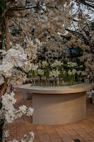 casamento-andressaepedrolucaslimafotografia-150.jpg da galeria de fotos da Orquídea Formosa