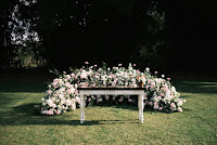 de82165d-491a-4002-8bb6-1b5691212871.jpg da galeria de fotos da Orquídea Formosa