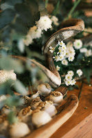 c7f9eabf-1610-43d0-9576-e6af9a8ce580.jpg da galeria de fotos da Orquídea Formosa