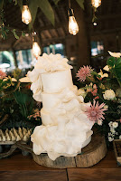 f03fdd0e-cda8-4019-9621-948b48ed55f8.jpg da galeria de fotos da Orquídea Formosa