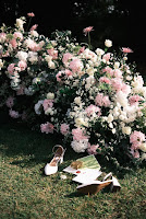 8d39a573-77c0-47e7-a45f-5d7b893b8c1e.jpg da galeria de fotos da Orquídea Formosa