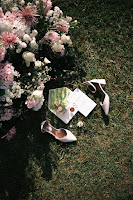 501694e3-64d9-4b3a-839c-4de01fd4d74c.jpg da galeria de fotos da Orquídea Formosa