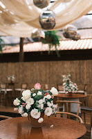 7c90b81c-962b-49ef-a405-d170747e218b.jpg da galeria de fotos da Orquídea Formosa